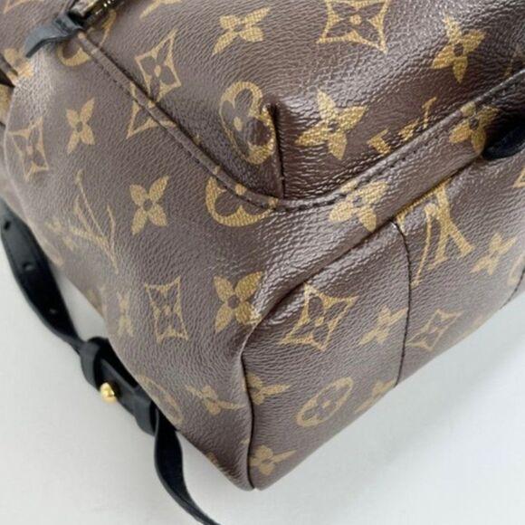 Louis Vuitton Monogram Palm Springs Backpack PM - Picture 7 of 13